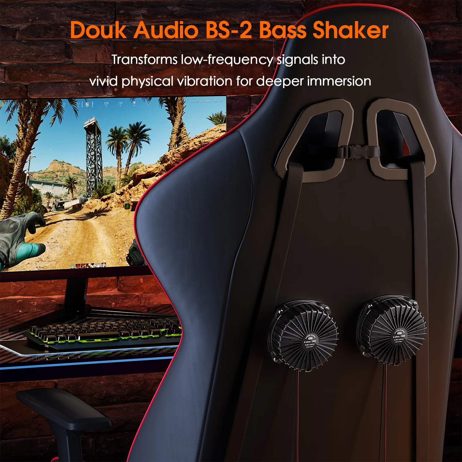 Douk Audio BS-2 30W 4Ω Bass Sh - Home Cinema Chairs 评论和价格