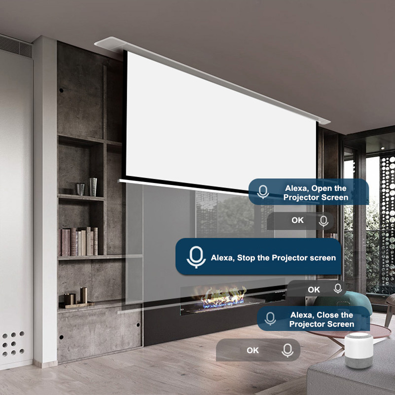 THYCM-H 16:9 In-Ceiling Mount  - Projector Screen 100 Inch 评论和价格